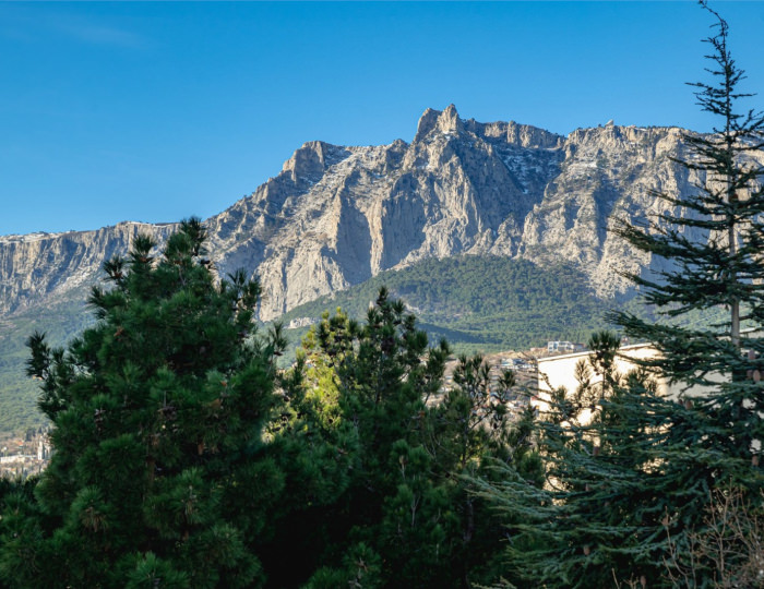Повышенной комфортности 2-х местный 2-х комнатный север - Пансионат «Ай-Тодор-Юг»